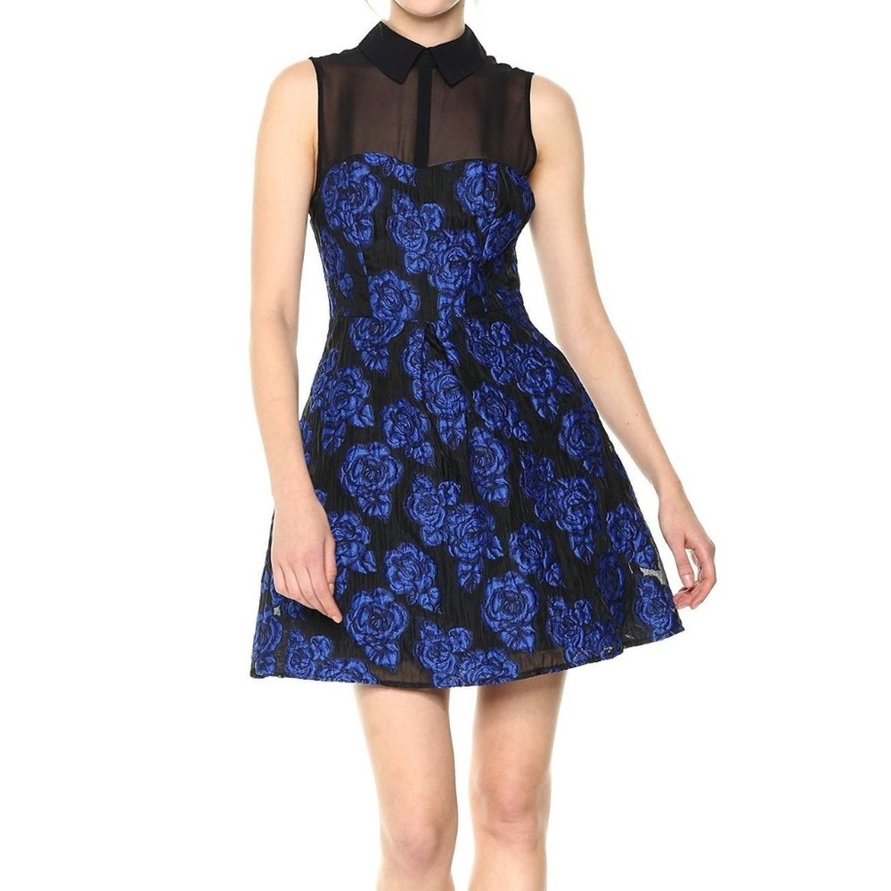 Betsey Johnson Women's Illusion Jacquard Dress
